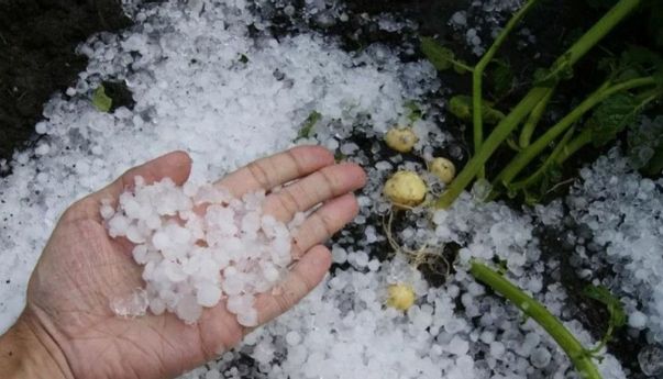 BMKG Ingatkan Potensi Cuaca Ekstrem Saat Musim Pancaroba, dari Hujan Es hingga Puting Beliung