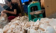 Berita Terkini: Soal Bantuan Modal Kerja untuk UMKM, Pengamat Ungkap Masalah Utama Pelaku Usaha Hari ini