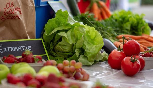 Harus Menyehatkan! 10 Cara Memilih Sayuran yang Segar dan Higienis