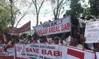 Viral #SaveBabi dan Penetapan Hari Kedaulatan Babi Nasional