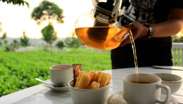Wisata di Kebun Teh Kemuning yang Wajib Dikunjungi