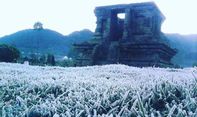Berita Jateng: Diselimuti Embun Es, Suhu di Dataran Tinggi Dieng di Bawah 0 Derajat Celsius