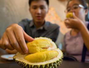 Durian Ternyata Mampu Mengisi Daya Ponsel dengan Cepat