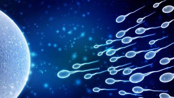 Hindari Beberapa Aktivitas Ini Kalau Tak Ingin Jumlah Sperma Menurun