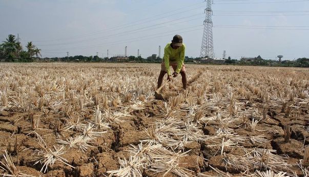Berita Terbaru di Jogja: Prambanan Kekeringan, PDAM adalah Solusi?