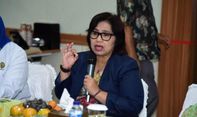 Djarot PDIP Minta Jokowi Evaluasi Mentan dan Menteri LHK, Irma NasDem: Jangan Asbun, Buka Mata!