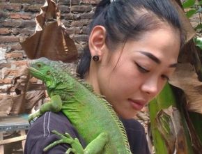 Berawal dari Hobi, Perempuan Madiun Ini Meraup Keuntungan dari Ternak Iguana