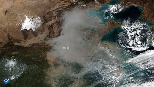 Gara-gara Virus Corona, Udara di China Bersih