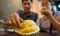 Durian Ternyata Mampu Mengisi Daya Ponsel dengan Cepat