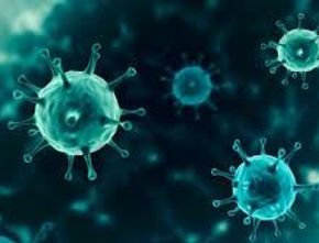 Jejak Virus Corona Sudah Ada di Spanyol Sejak Maret 2019