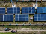 Percepat Pembangunan PLTS untuk Kurangi Ketergantungan Energi Fosil di Indonesia