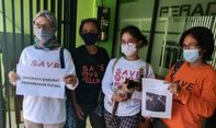 Mengerikan! Di Tengah Panasnya Pilkada Solo, Pecinta Kucing Geger karena Ada Pembunuh Kucing Misterius