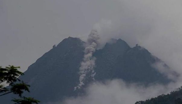 Nekat, Pengungsi Merapi Pulang ke Rumah Demi Beri Makan Ternak