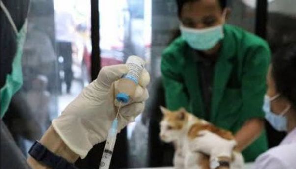 5 Langkah Pemprov Jabar Cegah Kasus Kematian Akibat Rabies