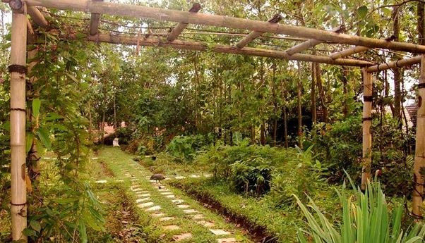 Kampung 99 Pepohonan, Wisata Keluarga Depok Tema Alam dengan Udara Segar Luar Biasa