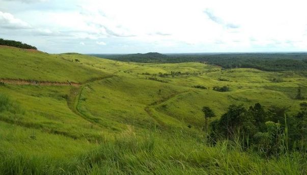 4 Tempat Wisata di Batanghari dengan Pemandangan Menakjubkan