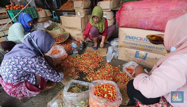 Emak-emak Mesti Panik Kalau Begini, Harga Cabe Rp86.500 Per Kilo!