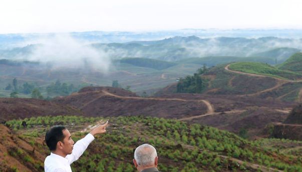 Badan Otorita IKN: Banyak Investor yang Berminat Investasi di IKN