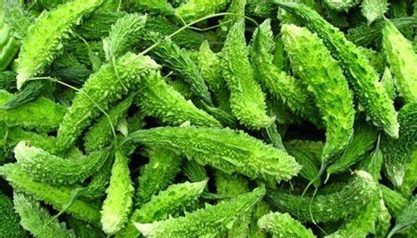 Ilmiah! Konsumsi Pare Secara Rutin dapat Turunkan Kadar Gula Darah