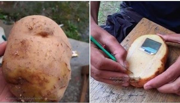 Kisah Khoirul Anam yang Sukses Merakit HP Kentang dalam Arti yang Sesungguhnya