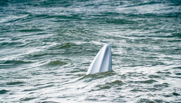 Perahu yang Ditumpangi Tenggelam, 29 Migran Afrika Tewas di Lepas Pantai Tunisia