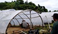 Ini Alasan Petani Garam Gunungkidul Tolak Kebijakan Impor