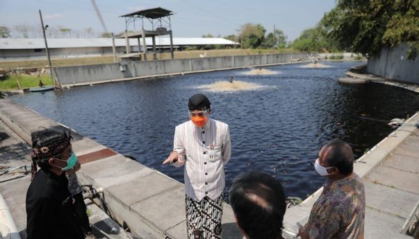 Berita Jateng: Sidak ke Bengawan Solo, Ganjar Temukan Pipa Limbah dan Bangkai Babi