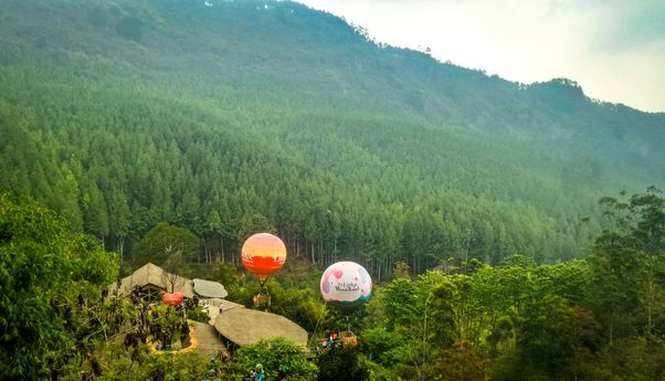 Tempat Wisata Hutan Pinus Bandung yang Cocok Untuk Camping Keluarga