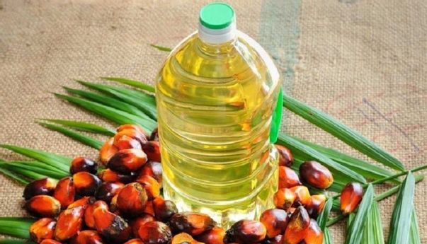 Harga Minyak Sawit Kembali Merangkak Naik, Produksi di Indonesia dan Malaysia Tersendat