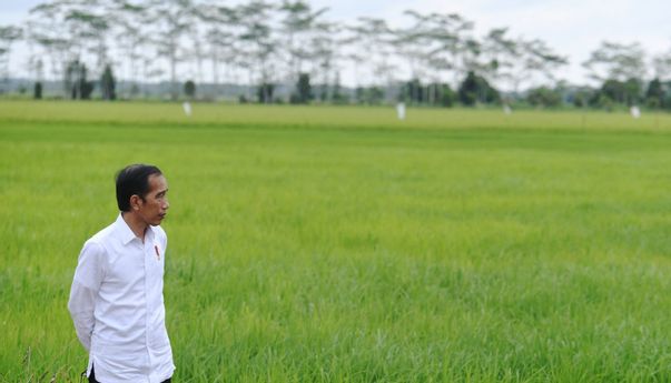 Apa Itu 'Food Estate'? Berikut Penjelasan dari Guru Besar ITB