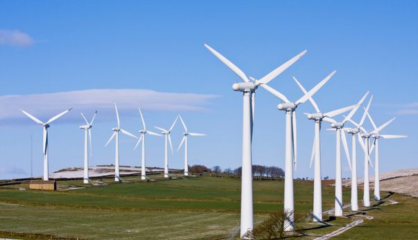 Daftar PLTB di Indonesia yang Jadi Kunci Potensi Besar untuk Energi Terbarukan