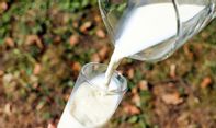 Tidak Hanya Sebagai Sumber Kalsium, Inilah Manfaat Dari Susu