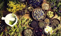 Berita Jateng: RS di Solo Bakal Dijadikan Pusat Pengobatan Herbal