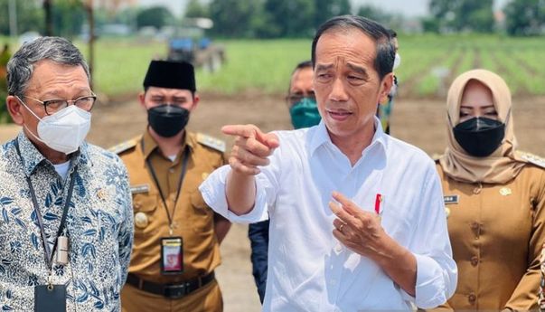 Jokowi Targetkan Swasembada Gula, Siapkan 700 Ribu Hektare Lahan Tebu