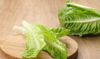 Jangan Biarkan Layu, 5 Tips Menyimpan Selada Agar Tetap Segar