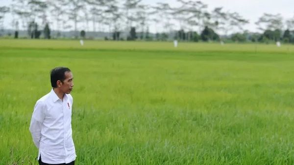 Ditanya Soal Kemungkinan Jadi Wantimpres, Jokowi: Saya Mau Pulang ke Solo