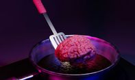Hati-hati! Beberapa Jenis Makanan Ini Bisa Merusak Otak