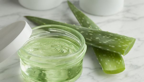 7 Manfaat Aloe Vera untuk Kecantikan Kulit