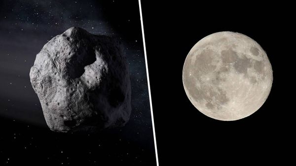 September Nanti Asteroid akan Dekati Bumi, Jaraknya Lebih Dekat dari Bulan