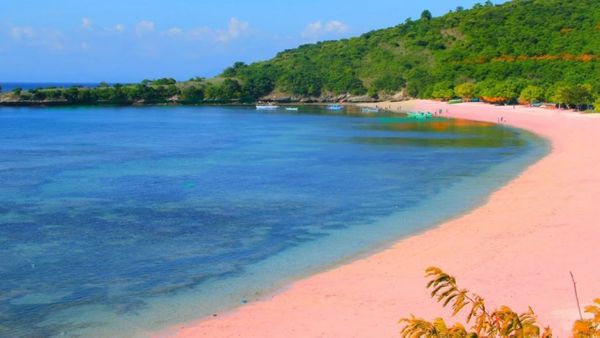 Pesona Pasir Berwarna Pink di Pantai Tangsi Lombok