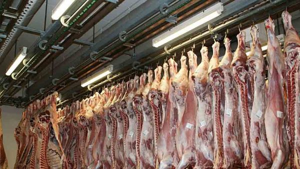 Industri Daging Babi Setelah Virus Demam Babi Afrika Menyebar