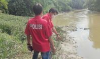 Ribuan Ikan Mati di Sungai Cileungsi, Polisi Lakukan Uji Laboratorium
