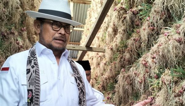 Syahrul Yasin Limpo Minta Diperiksa KPK 27 Juni, Alasannya Masih Ada Tugas Negara