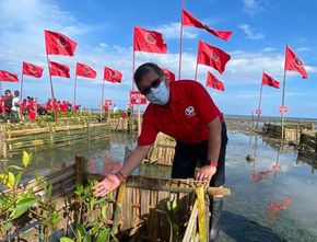 Peringatan HUT Megawati, PDIP Tanam Pohon di Bantaran Sungai Surabaya