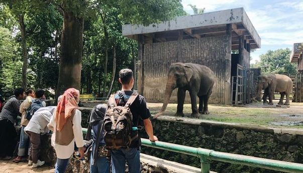Libur Lebaran, Ragunan Diserbu Lebih Dari 81 Ribu Pengunjung