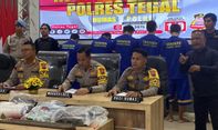Polres Tegal Tangkap Komplotan Pembobol Alfamart, Kerugian Ratusan Juta Rupiah