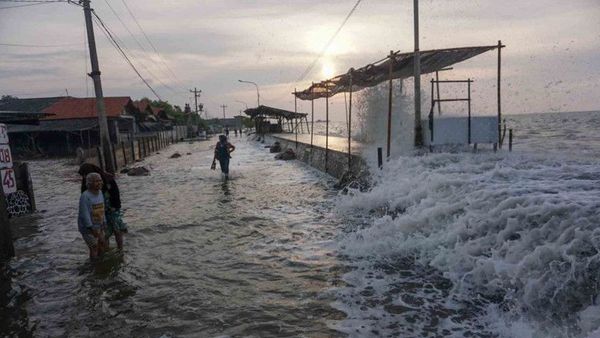 Prediksi BMKG: Banjir Rob di Sebagian Jawa Berlangsung Hingga 25 Mei