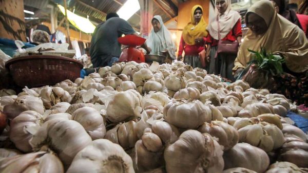 Bawang Putih Penyebab Inflasi di Indonesia Bulan Ini?