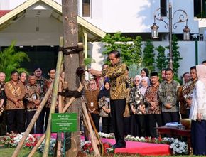 Jelang Purnatugas, Jokowi dan Iriana Tanam Pulai dan Flamboyan di Halaman Istana Jakarta