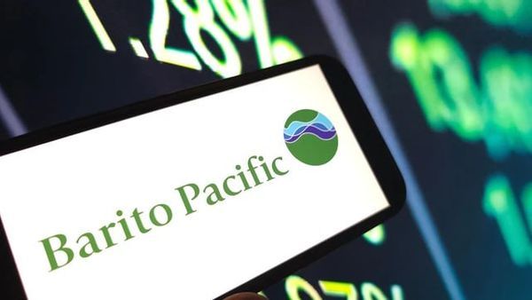 Ekspansi ke Luar Negeri, 90% Investasi Barito Pacific Tetap di Indonesia Bikin Geger!